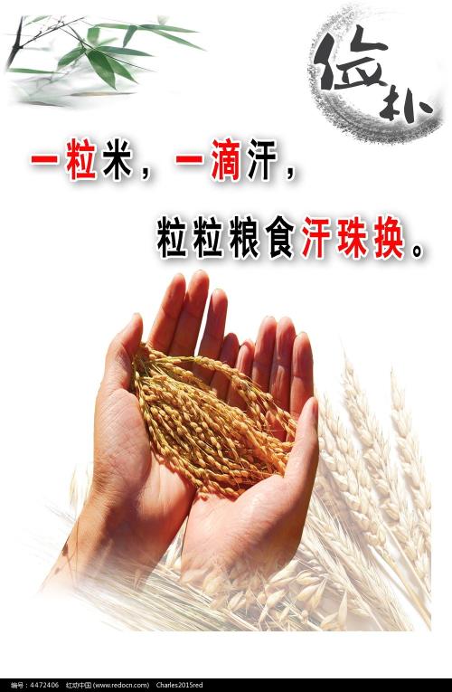 学位证书编号毕业才有吗